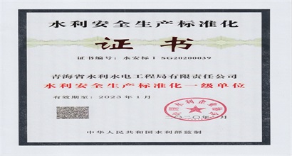 水利安全生产标准化一级单位证书