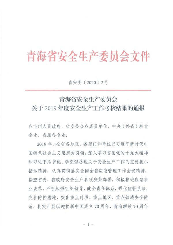 青安委〔2020〕2号 关于2019年度安全生产工作考核结果的通报