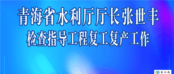 青海省水利厅厅长张世丰到公司松多水库工程开展复工复产检查指导